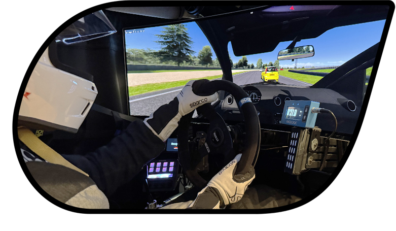 Professional_Driving_Simulator